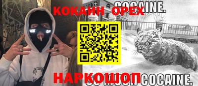 эйфоретик Будённовск