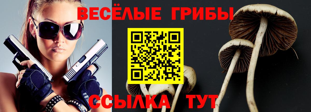 Галлюциногенные грибы MAGIC MUSHROOMS  Псилоцибиновые грибы мицелий  Вход с VPN  Саров 