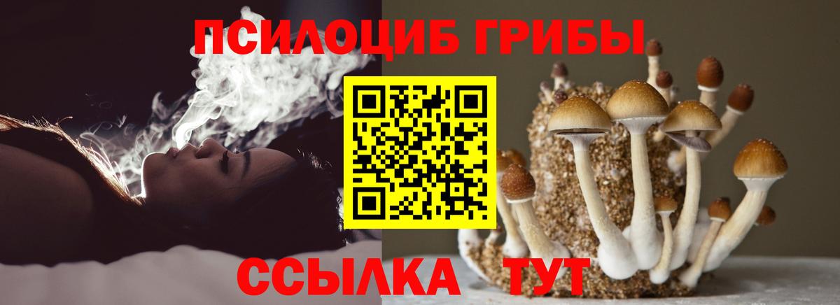 Галлюциногенные грибы Cubensis Саров